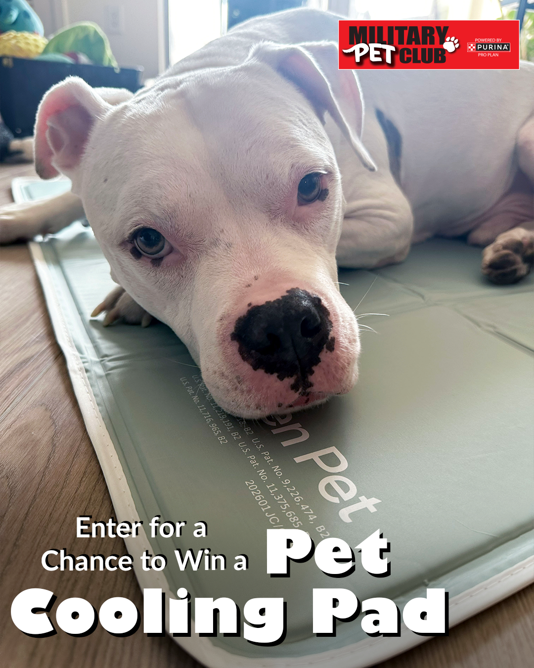 My Military Pets Facebook ad