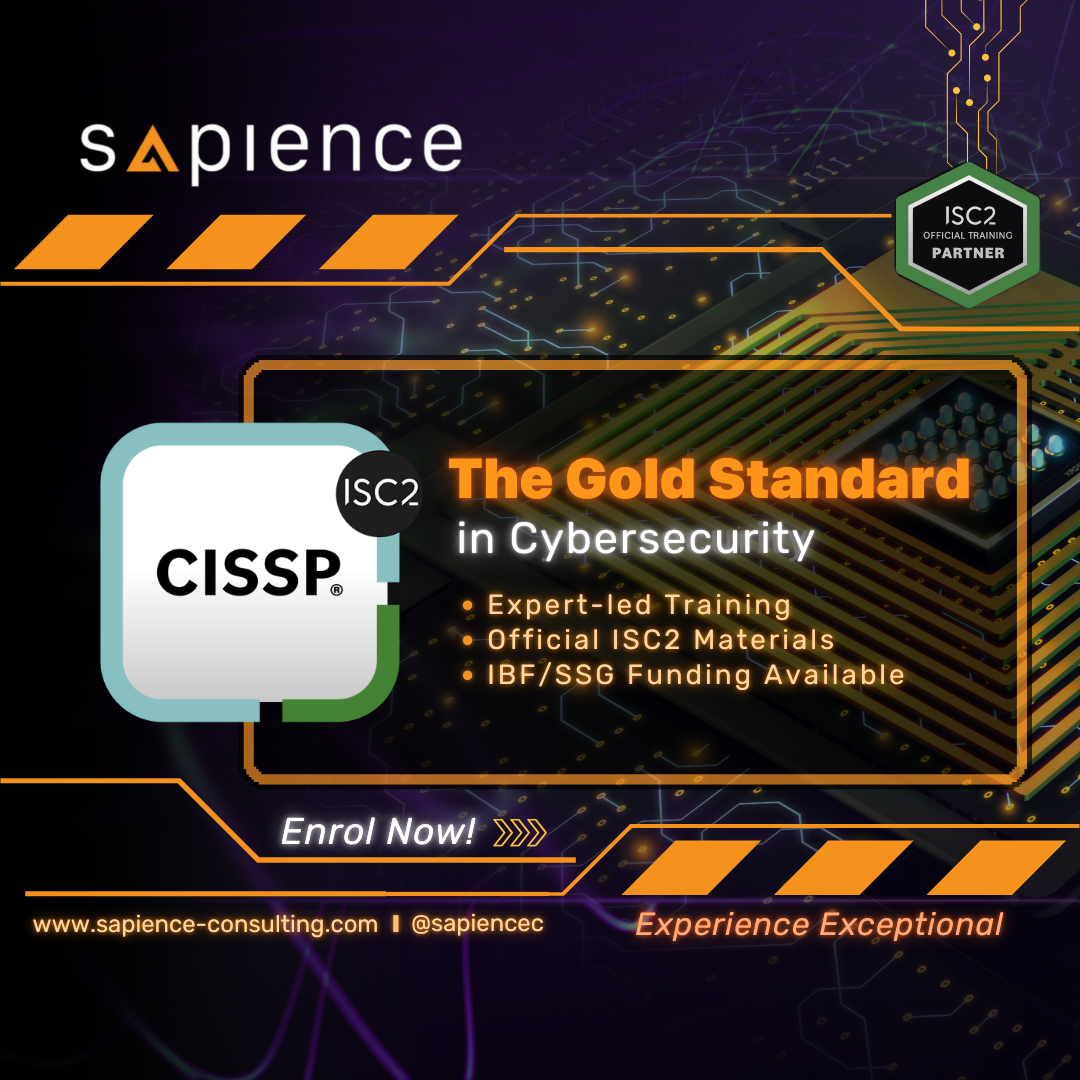Sapience Consulting Facebook ad