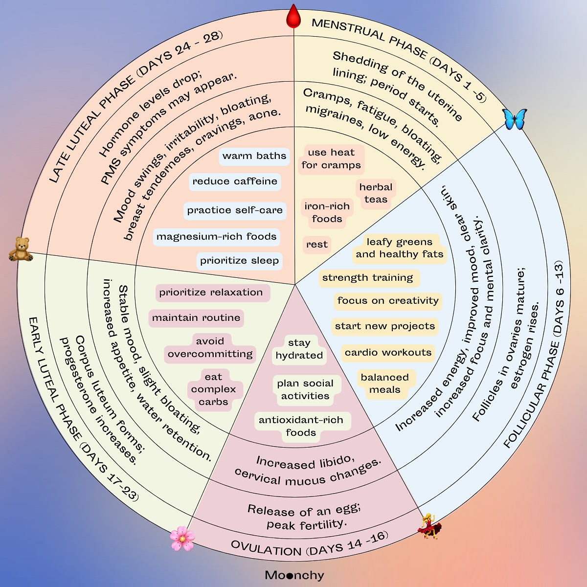 Moonchy Facebook ad: The Menstrual Cycle: 5 Phases Cheat Sheet