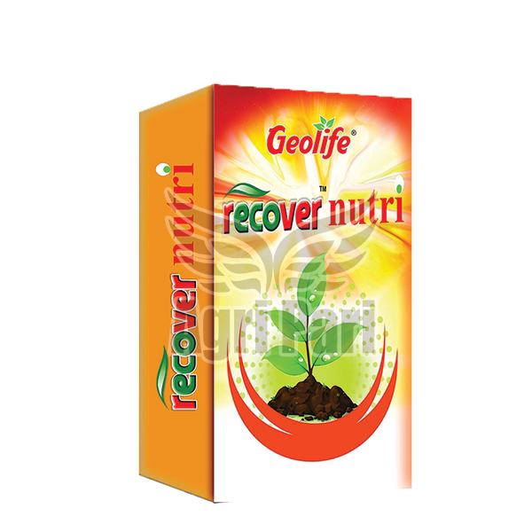 Agripari E-commerce Facebook ad
