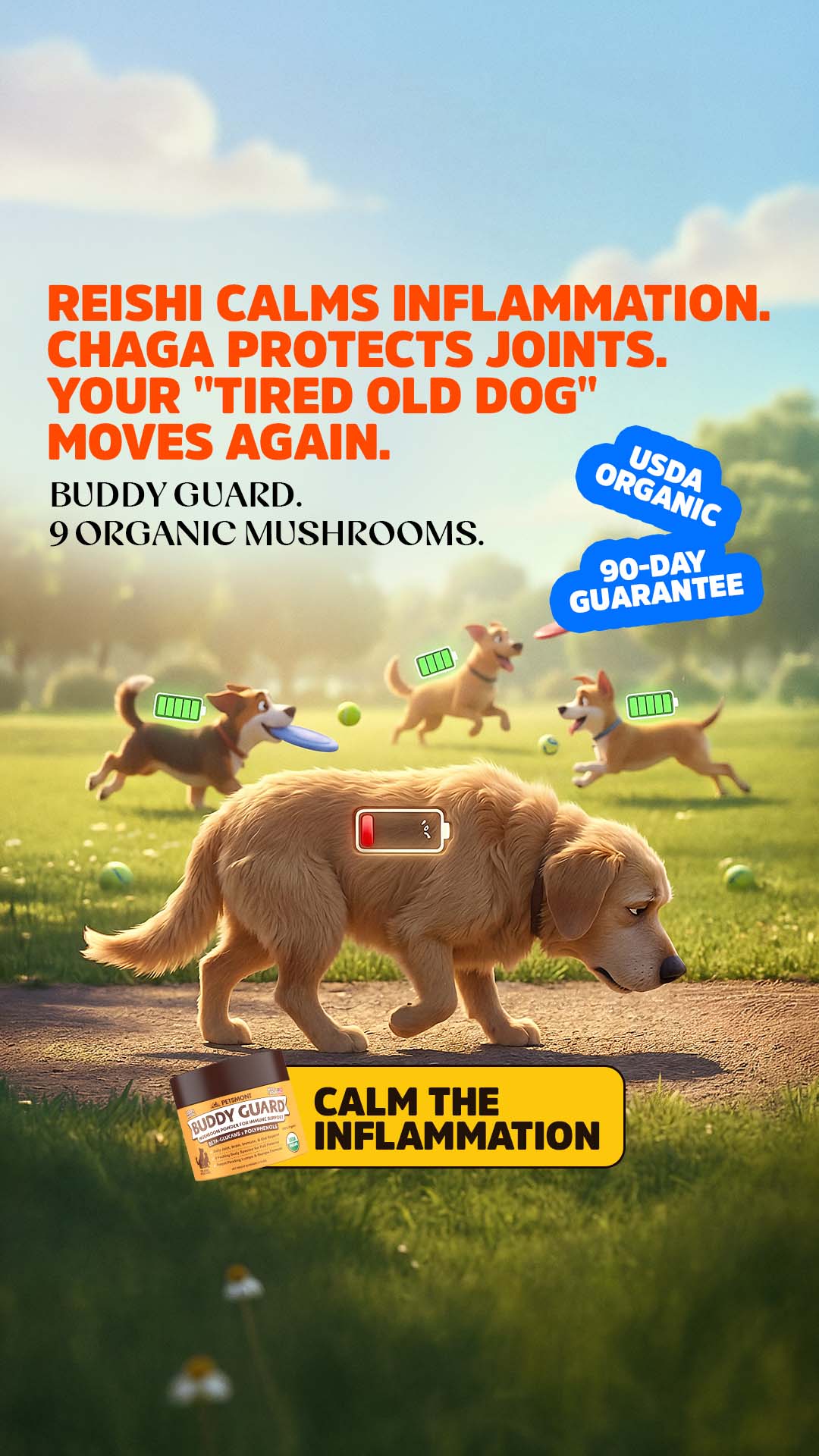 Well Pup Life Facebook ad