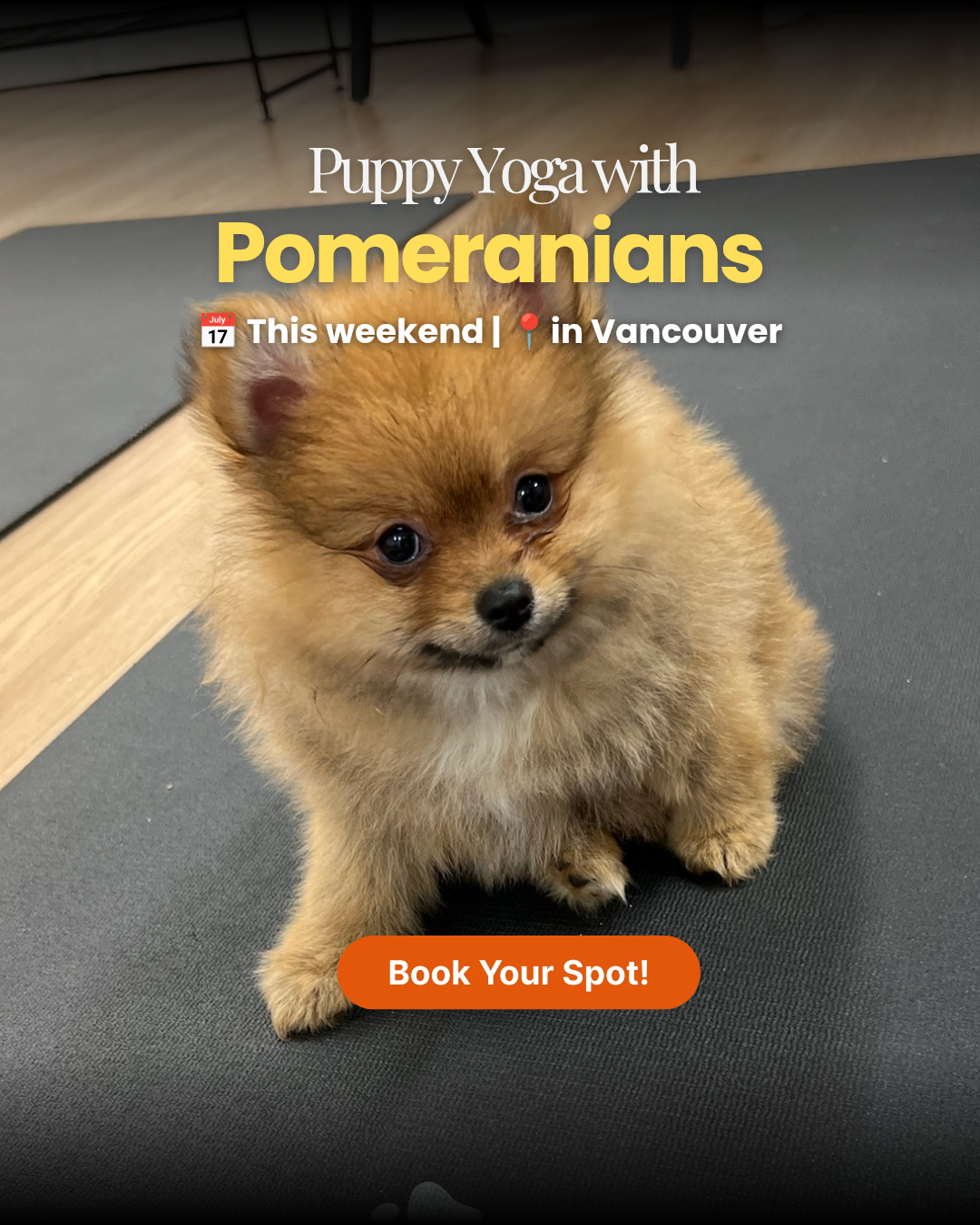 Puppy Yoga Club Facebook ad