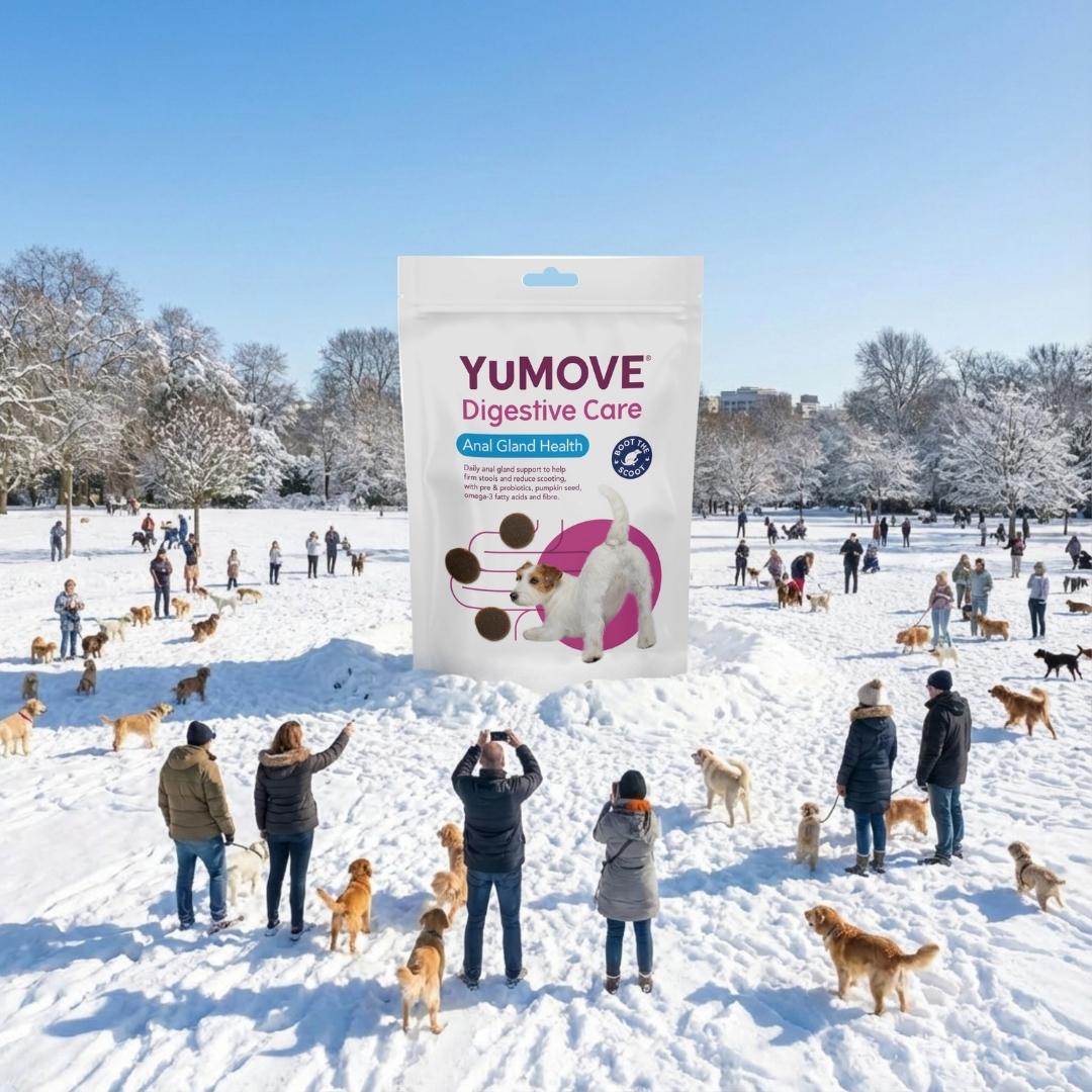 YuMOVE UK Facebook ad