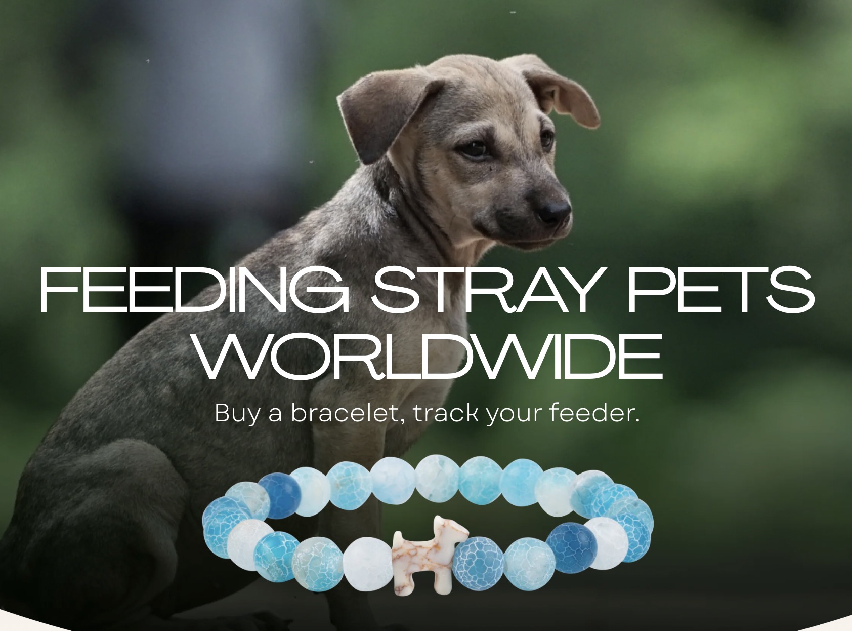 iHeartDogs Facebook ad