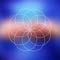 Conscious Evolution