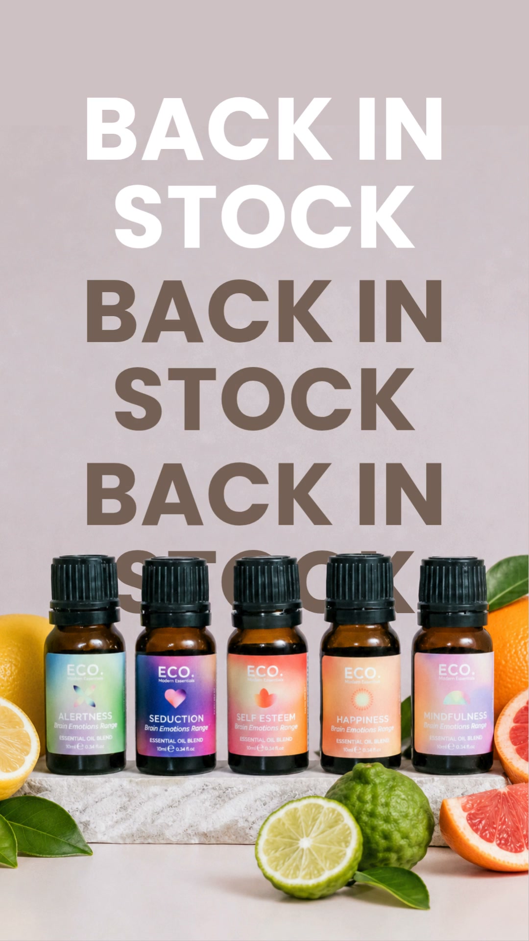 ECO. Modern Essentials Facebook ad: Back in Stock: Brain Emotions