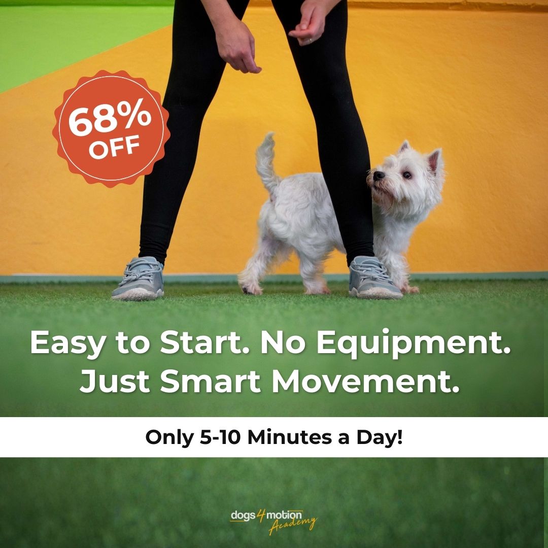 Dogs4motion Academy for active dogs Facebook ad