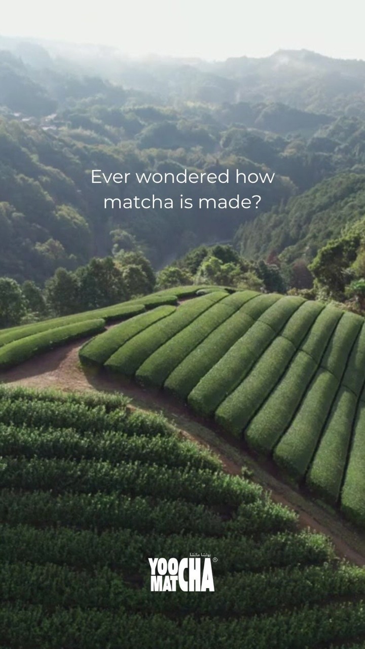 Yoocha Matcha Facebook ad: Let’s take a trip to the tea fields…