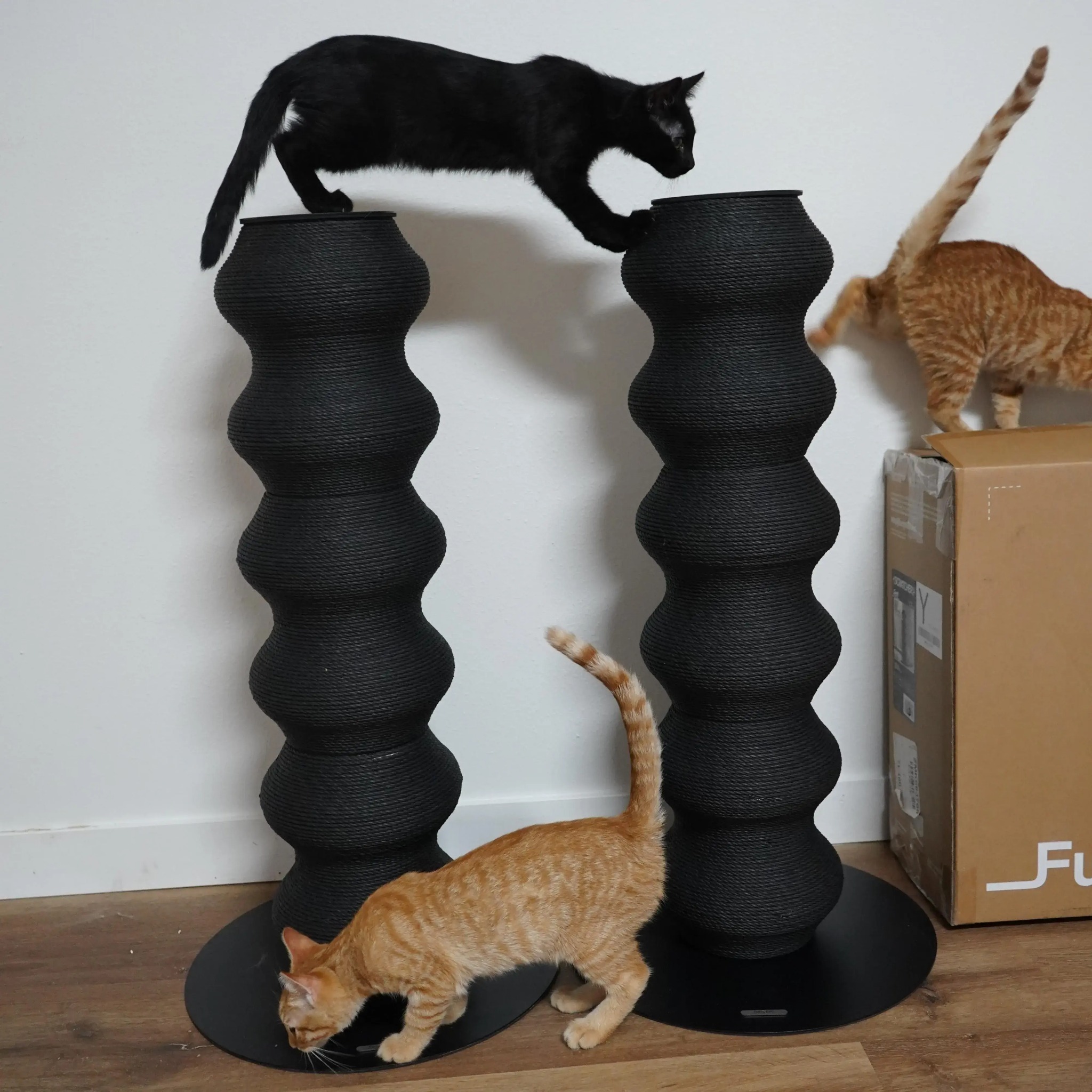 Furrytail_us Facebook ad