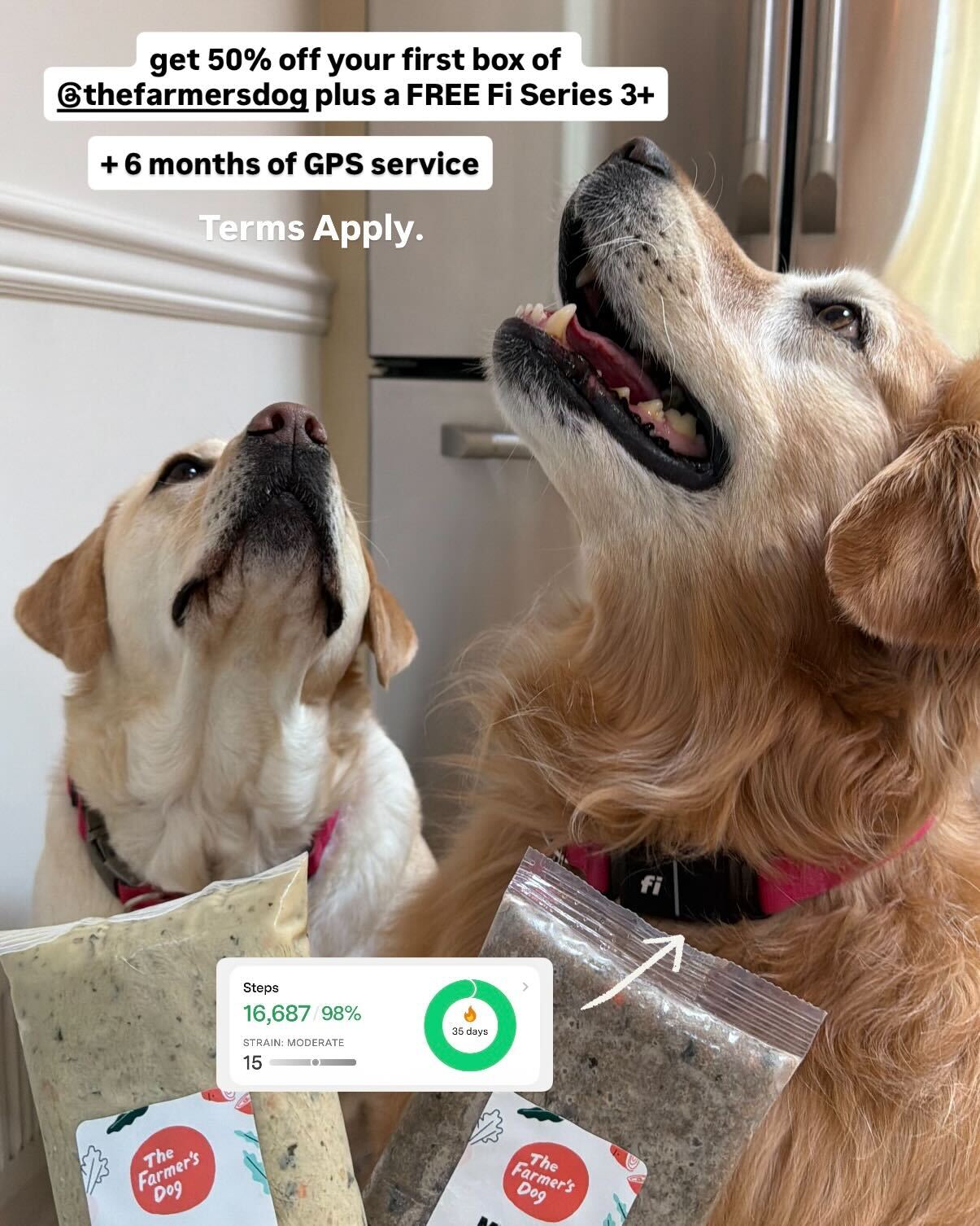 The Farmer's Dog Facebook ad
