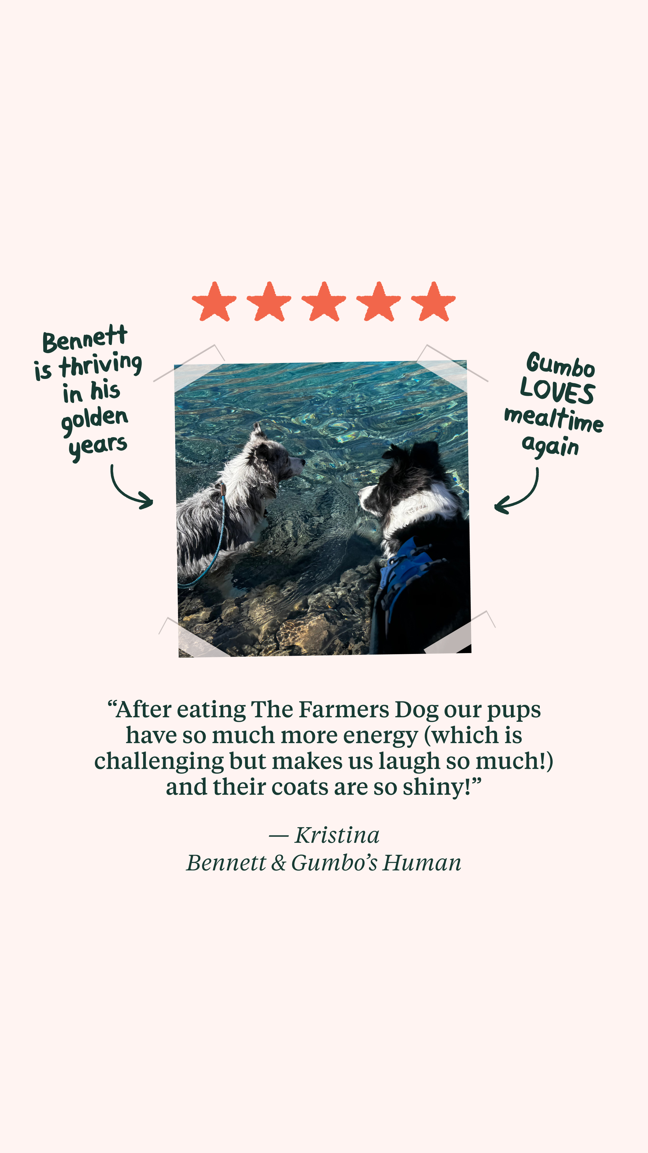 The Farmer's Dog Facebook ad