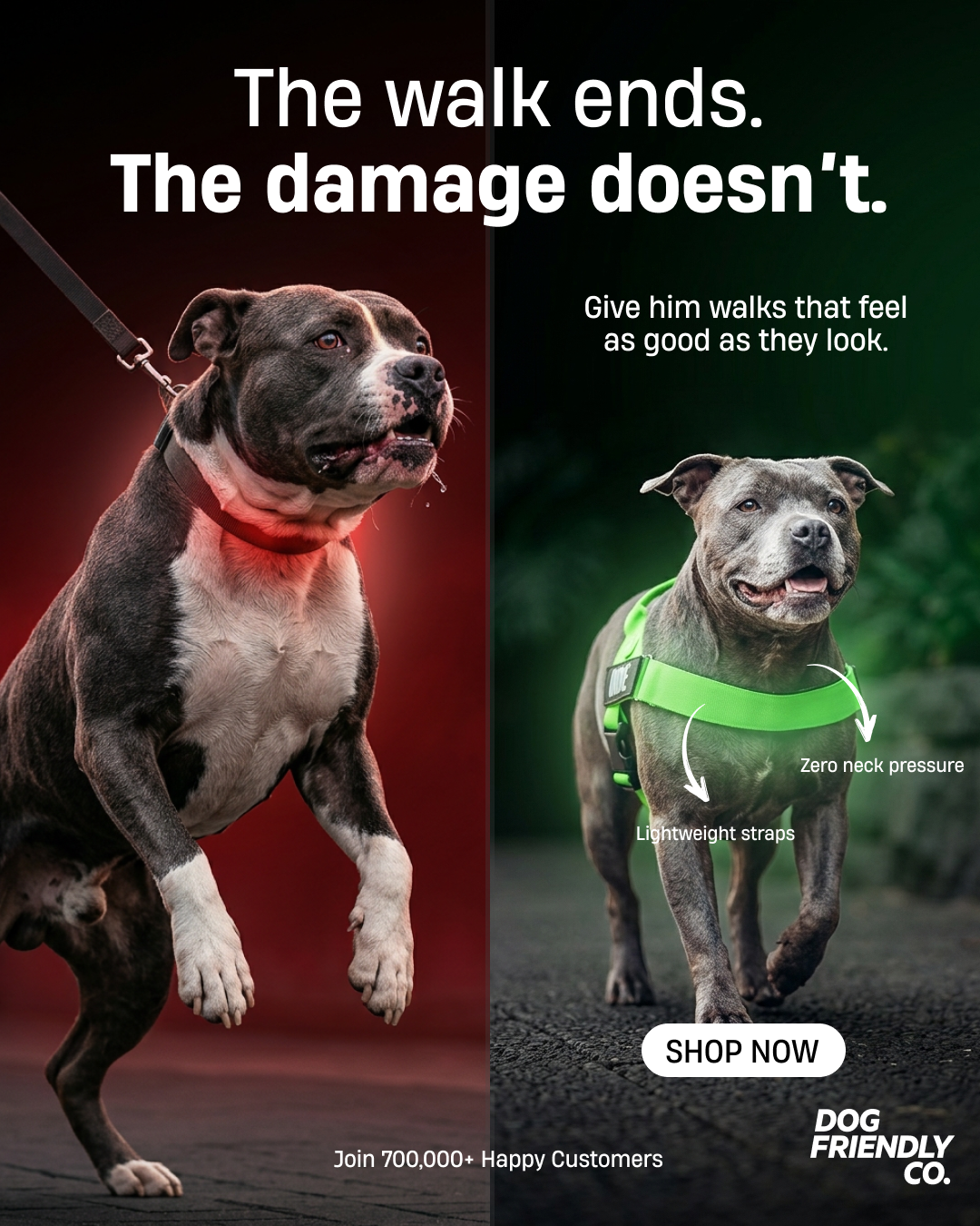 Dog Friendly Co. Facebook ad
