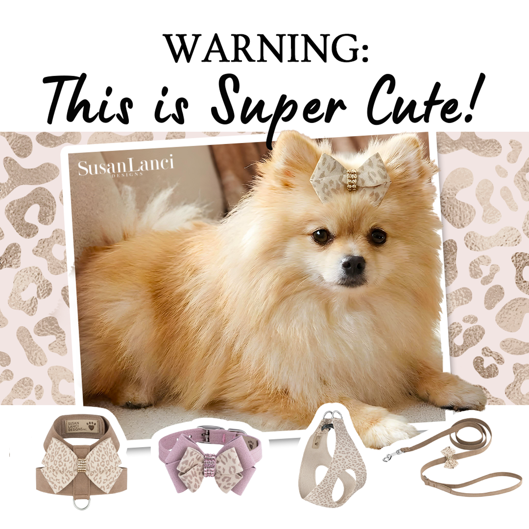 Susan Lanci Designs Inc. Facebook ad