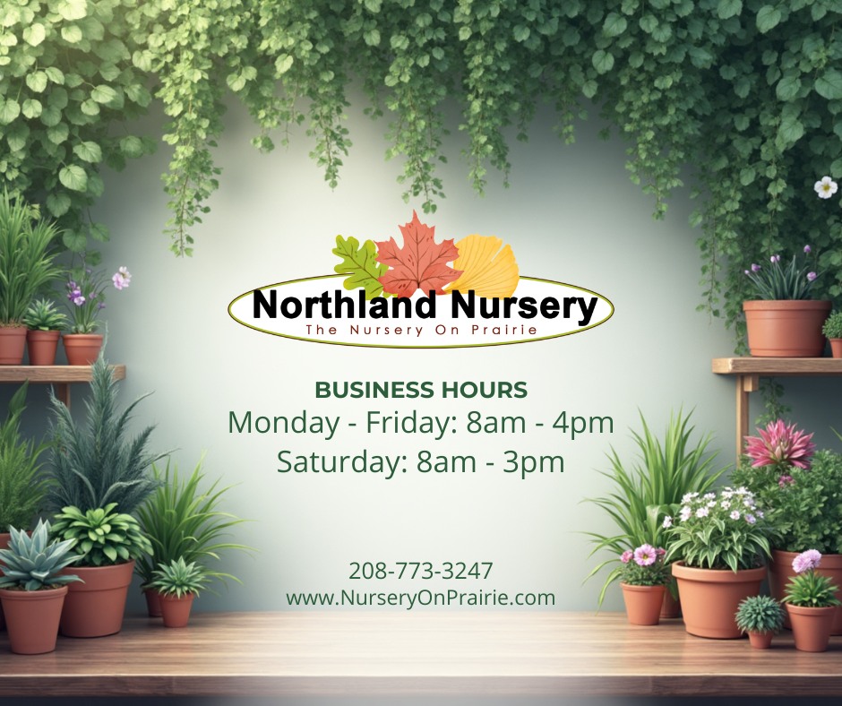 Northland Nursery Facebook ad: Spring is here, and Northland Nursery is OPEN!