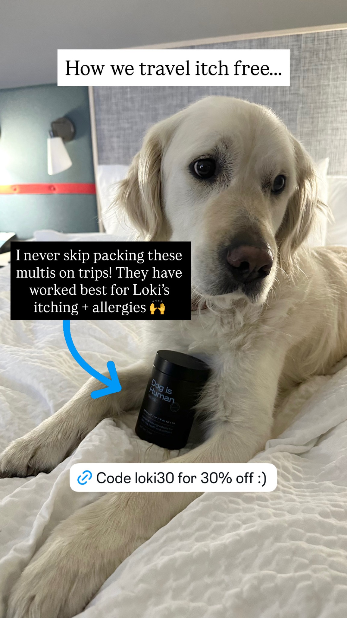 The Wise Vet Facebook ad