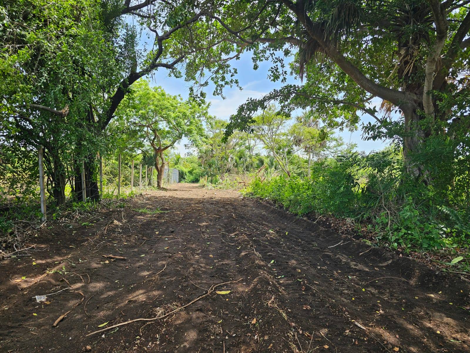 Cidar Israel Silva Facebook ad: Terreno en Monterrico