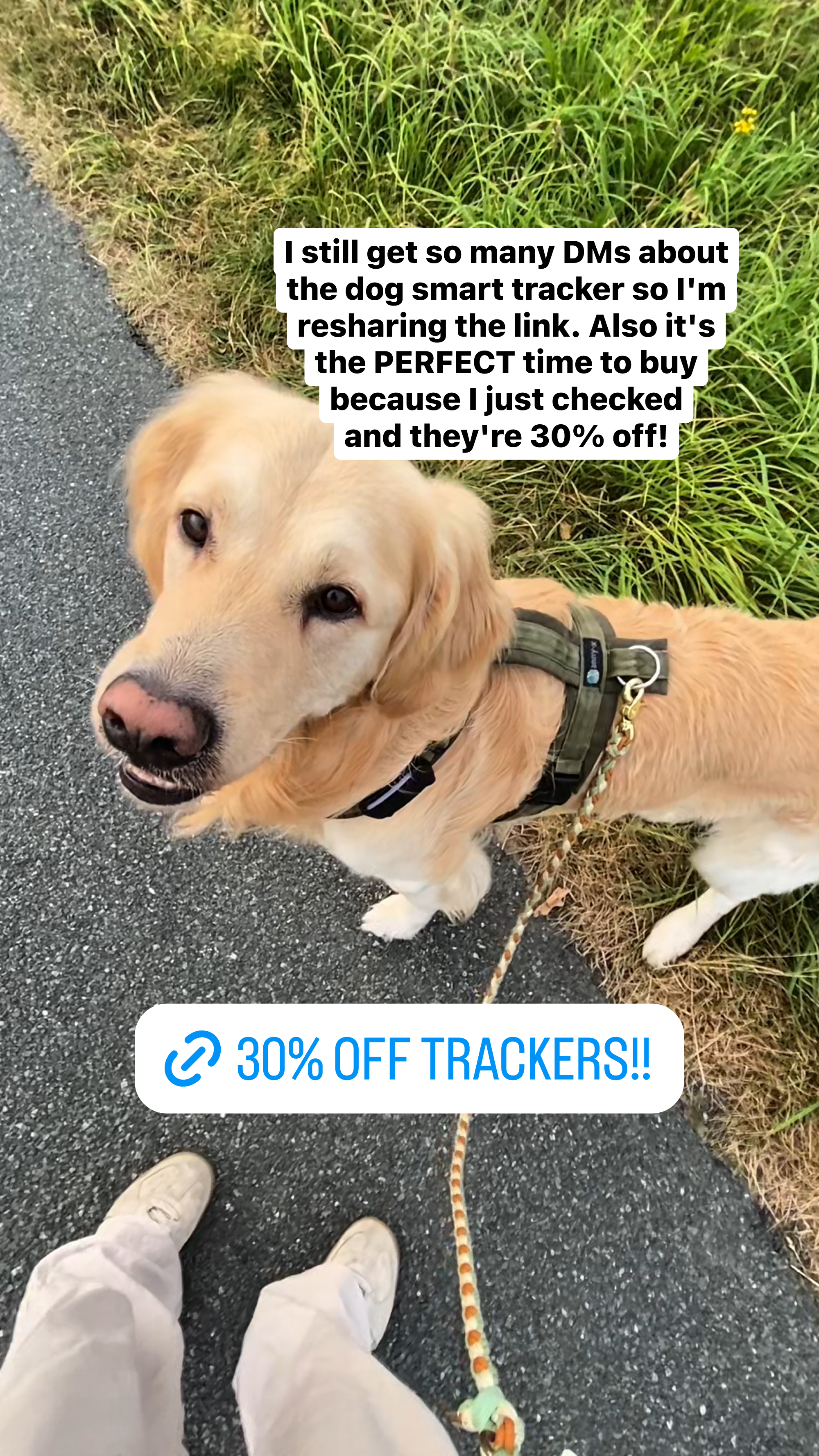 Tractive Facebook ad