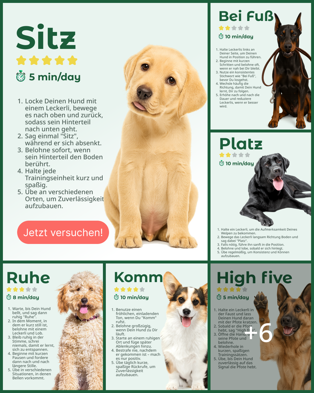 Dogo Facebook ad