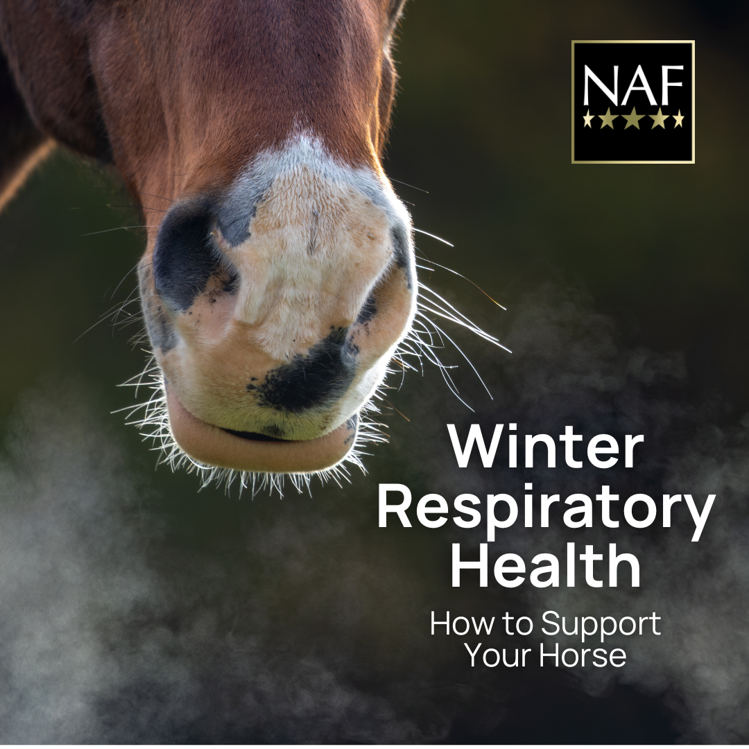 NAF Facebook ad