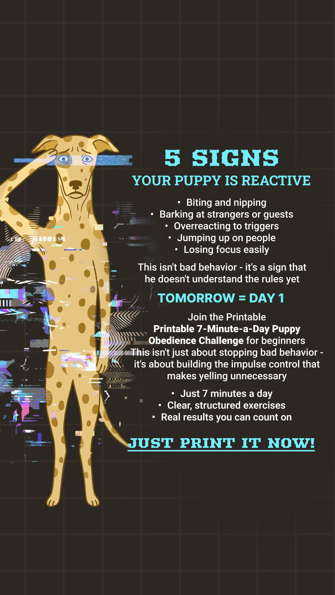 Dog Training & Tips Facebook ad