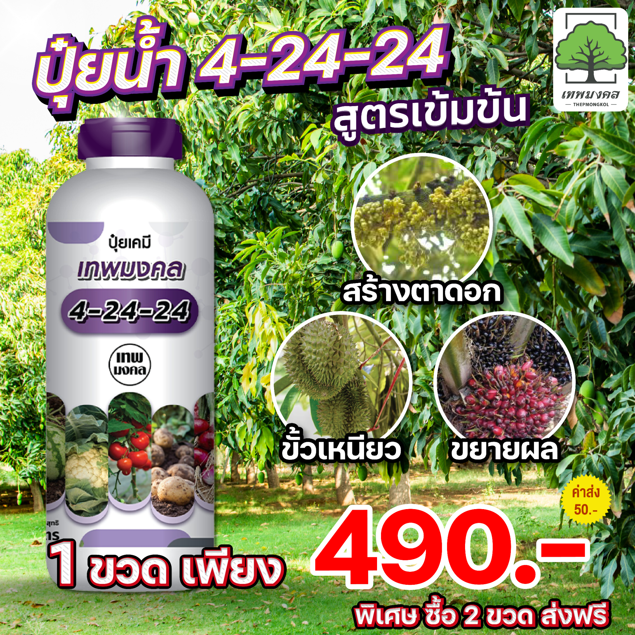 น้องปุ๋ยน้ำ ตราเทพมงคล Facebook ad