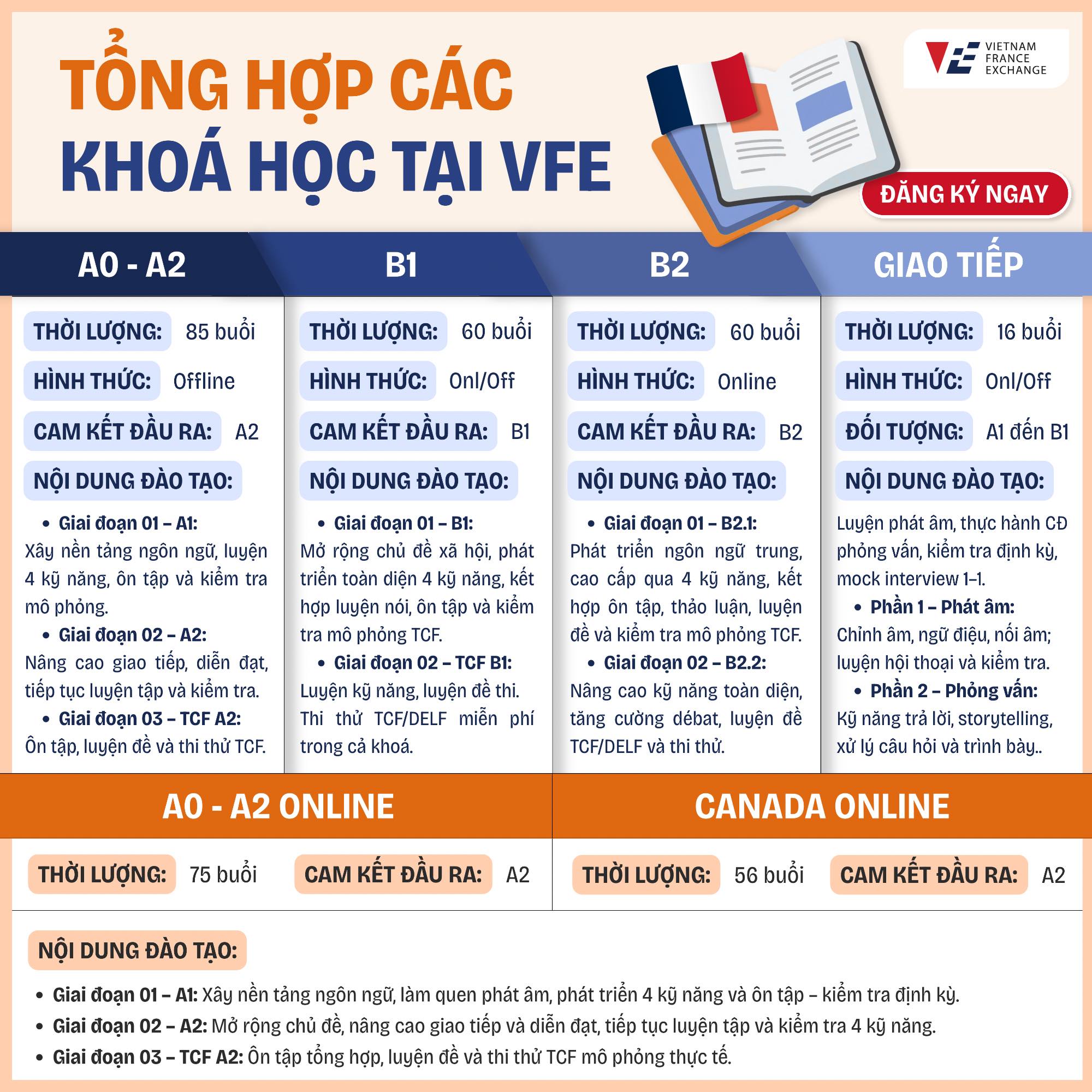 VFE - Chinh Phục Tiếng Pháp Facebook ad: ĐÃ ĐI HẾT 1/4 CHẶNG ĐƯỜNG 2026 …