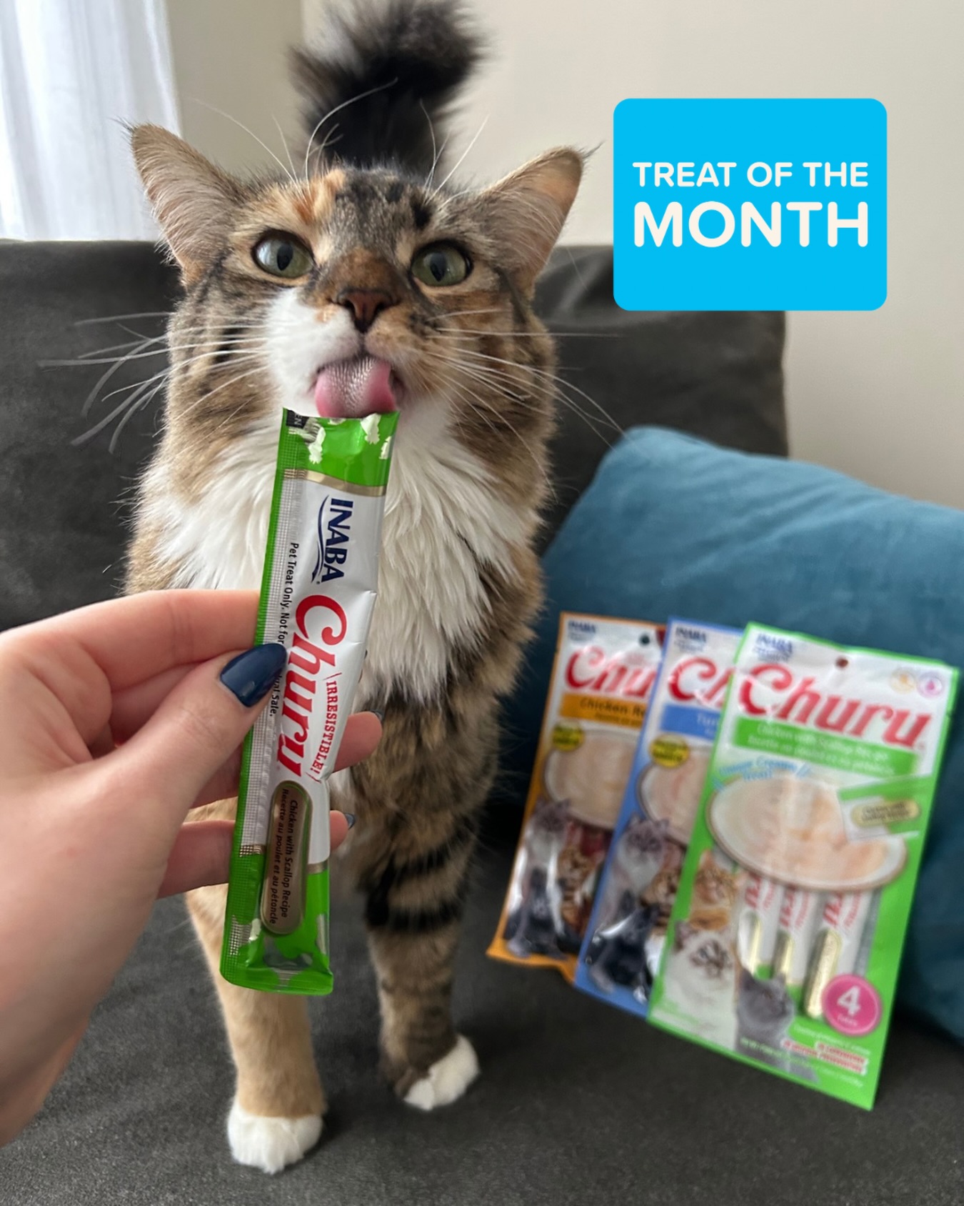 PetSmart Facebook ad