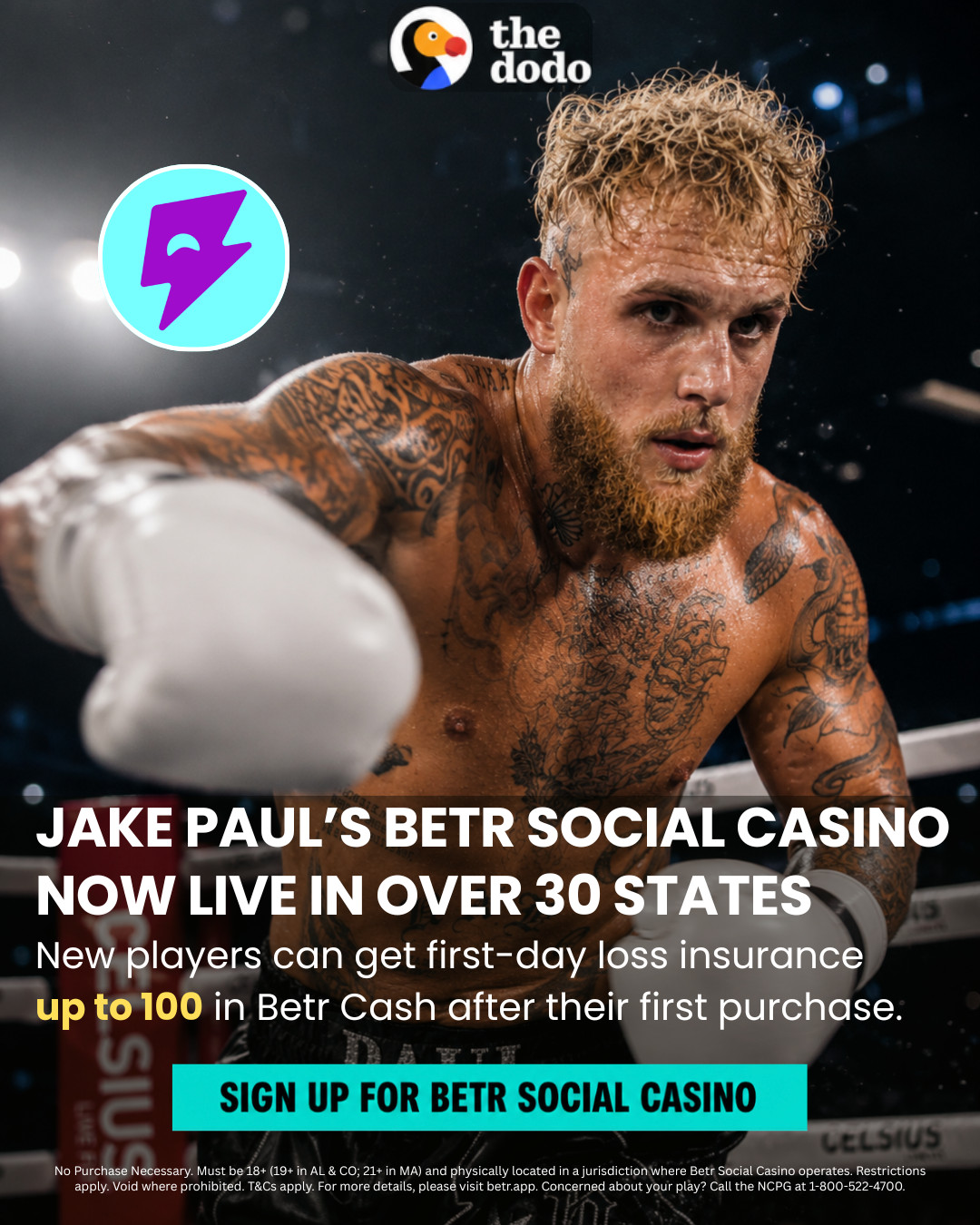 The Dodo Facebook ad