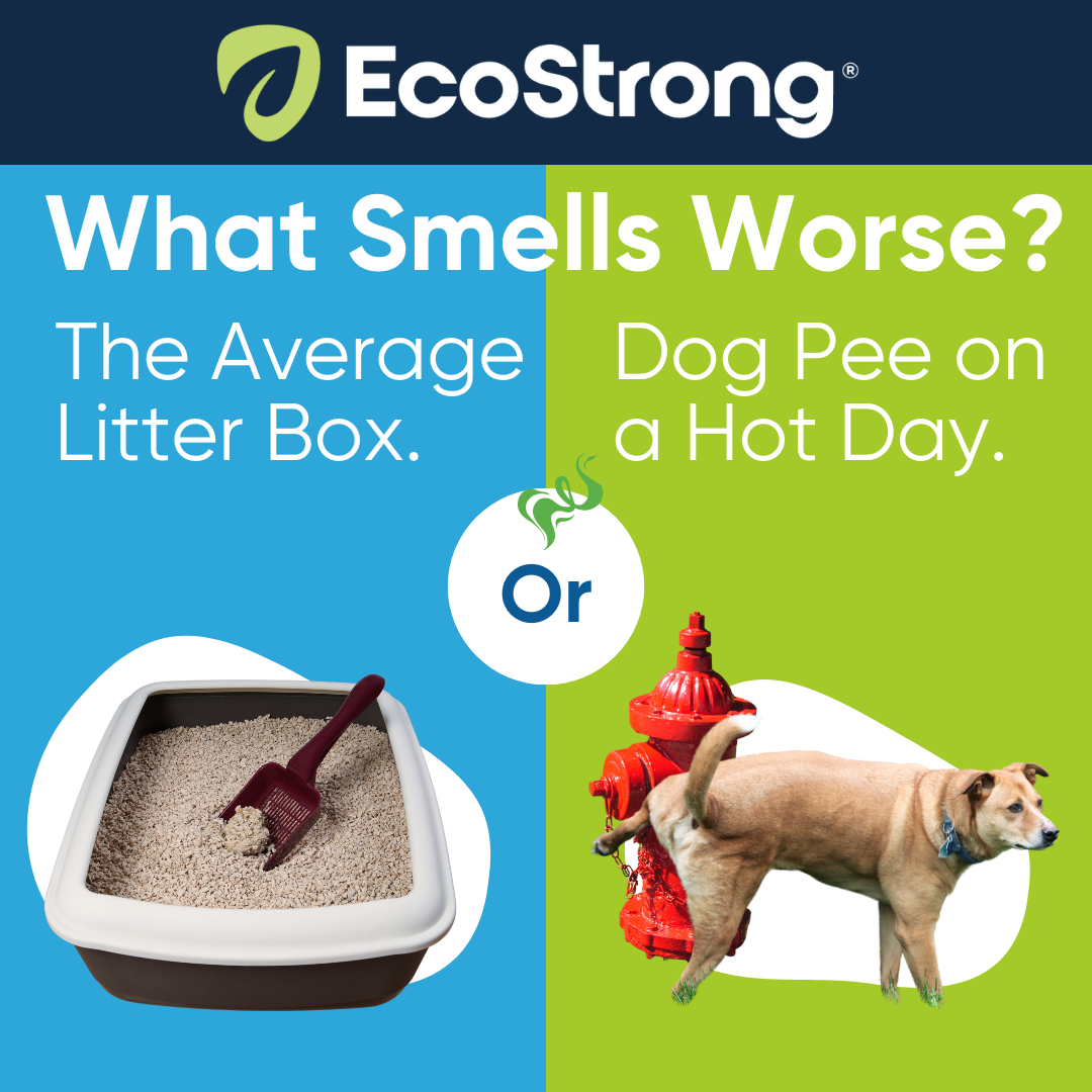 EcoStrong Facebook ad