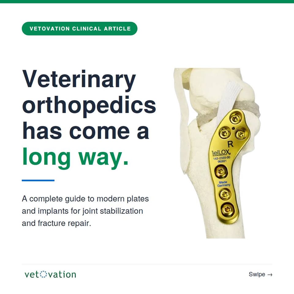 VetOvation Facebook ad: Home