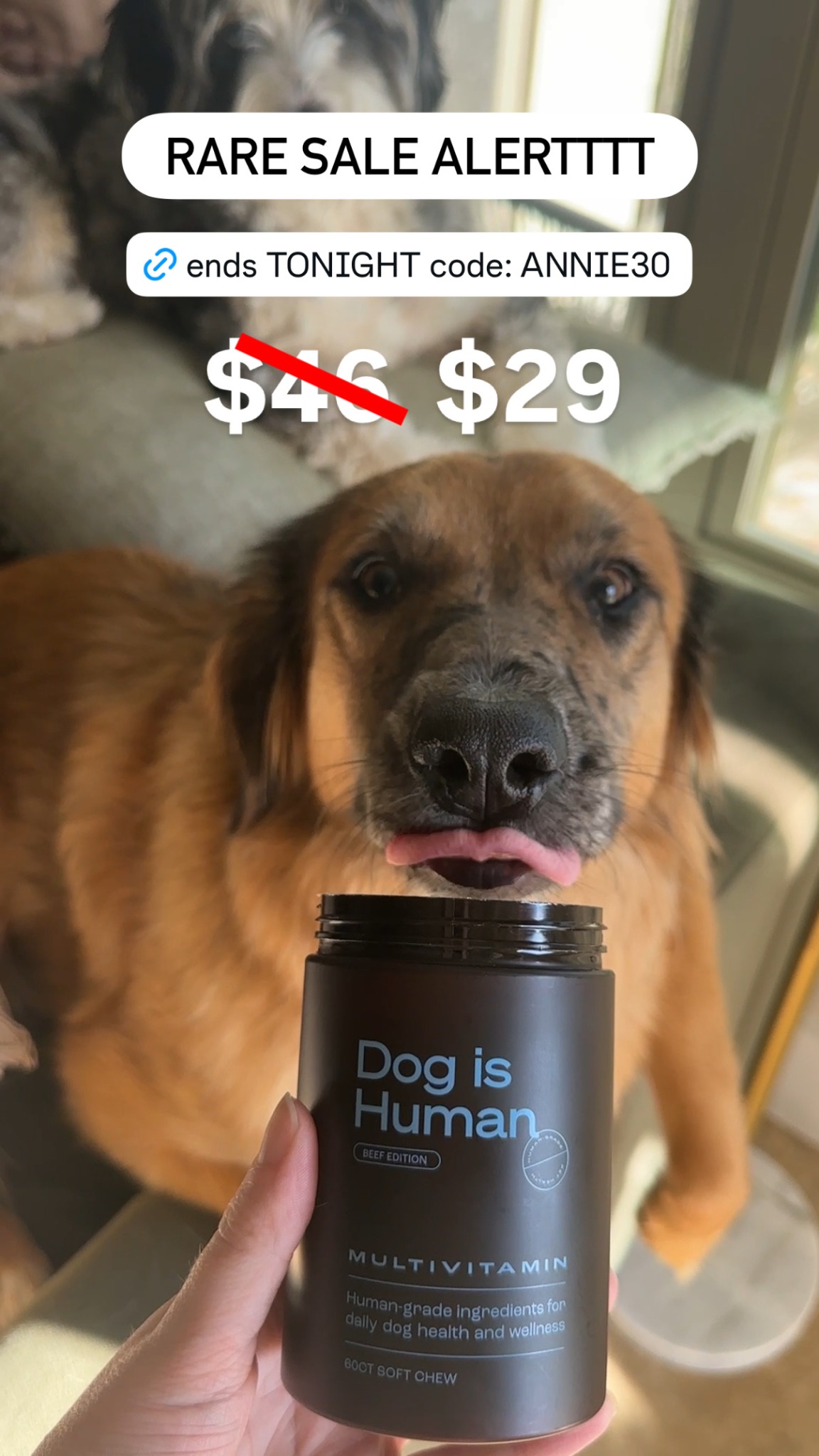 Millie & Annie Facebook ad