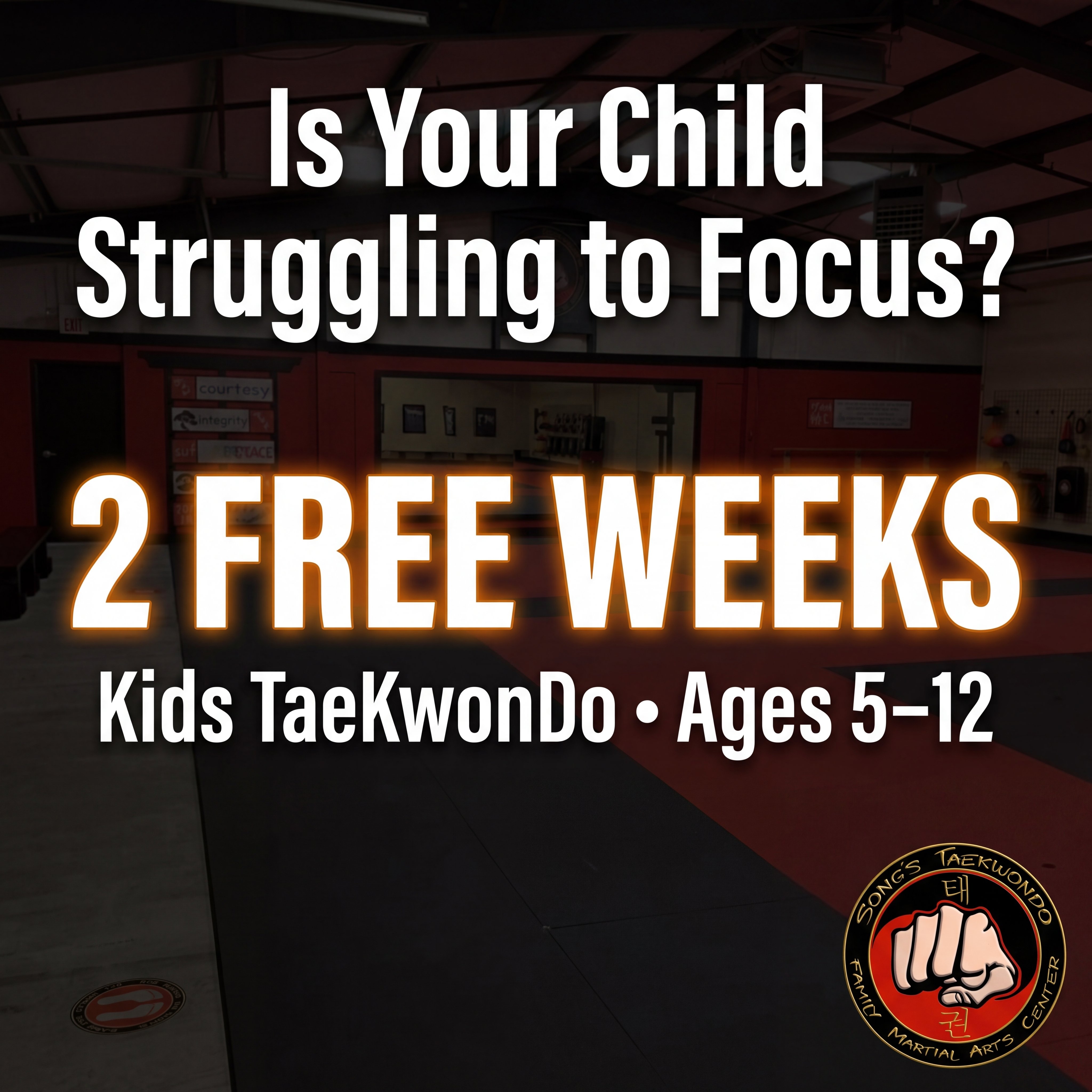 Song's Taekwondo - Pleasant View Facebook ad