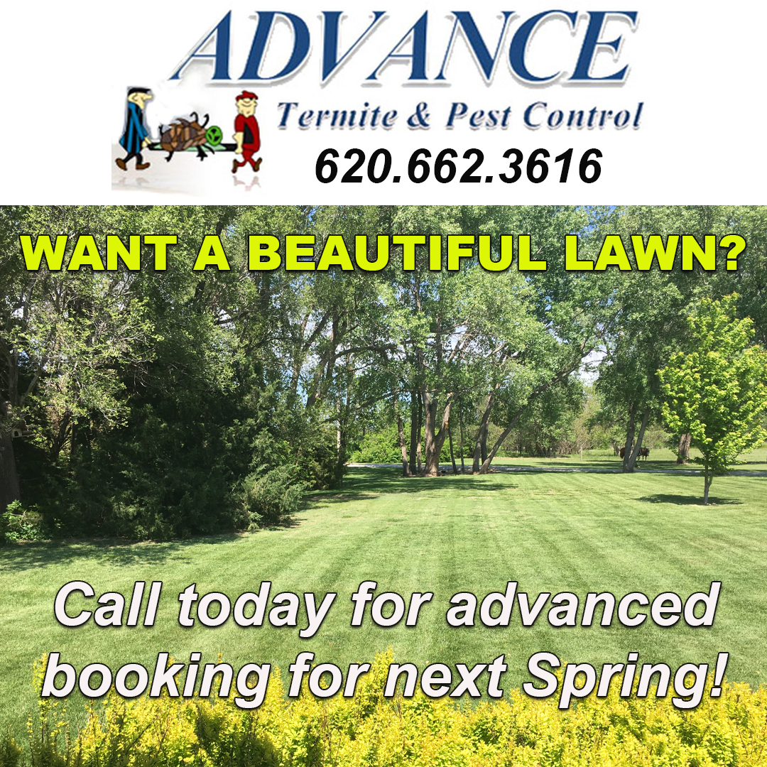 Advance Termite & Pest Control Facebook ad: A Beautiful Lawn Next Spring Begins Now!