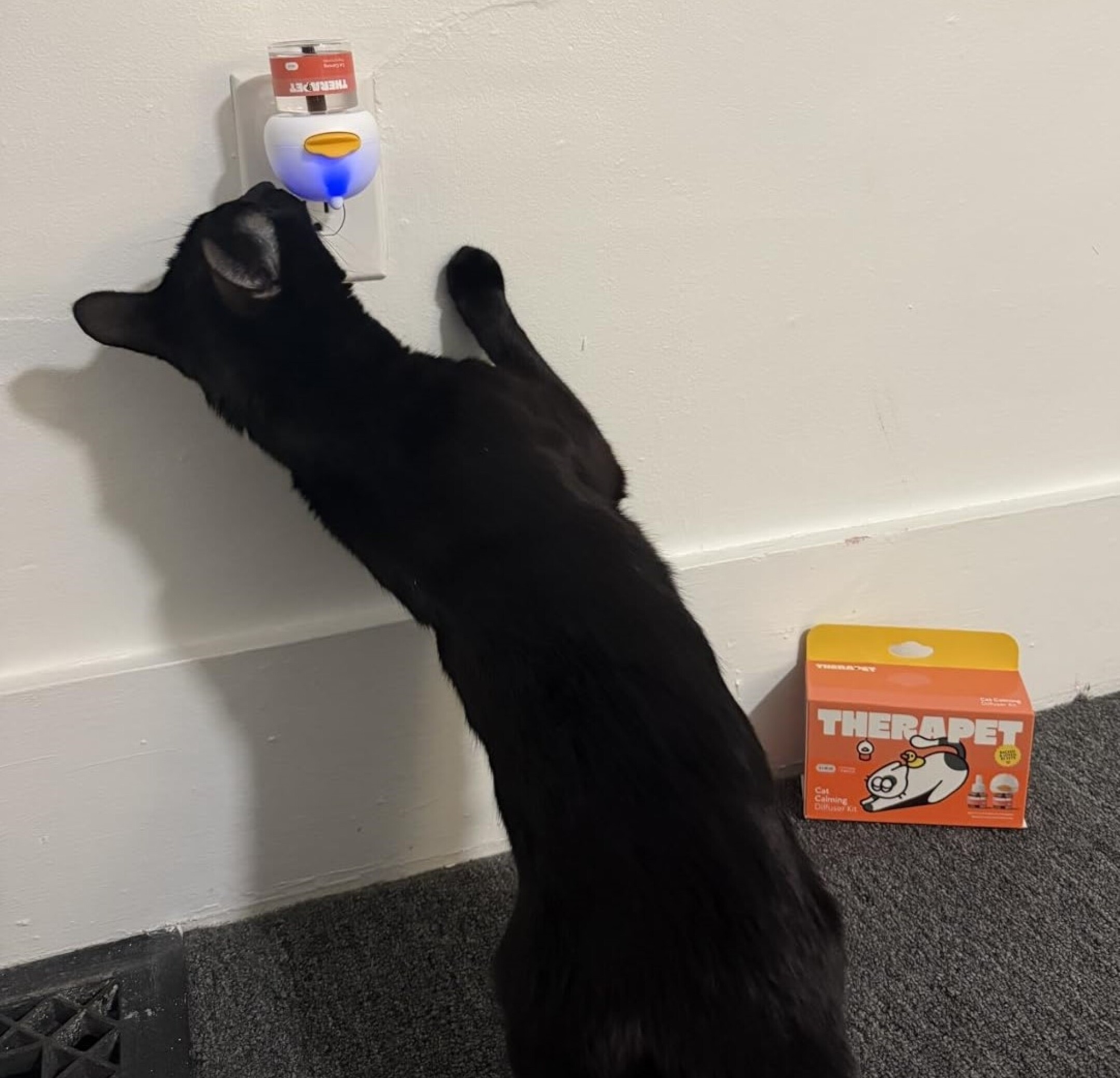 Vet approved products Facebook ad