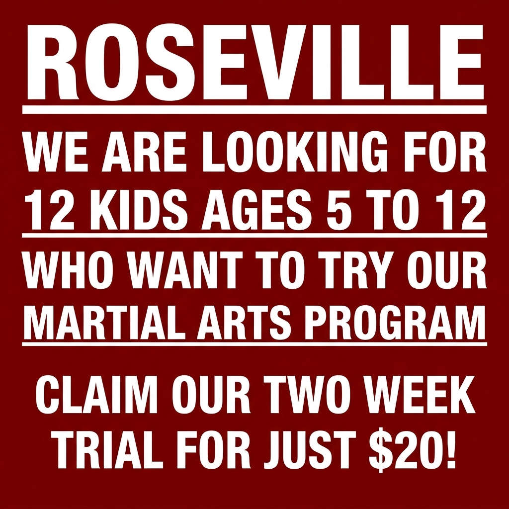 Roseville Academy - Family Taekwondo Facebook ad: Family Martial Arts!