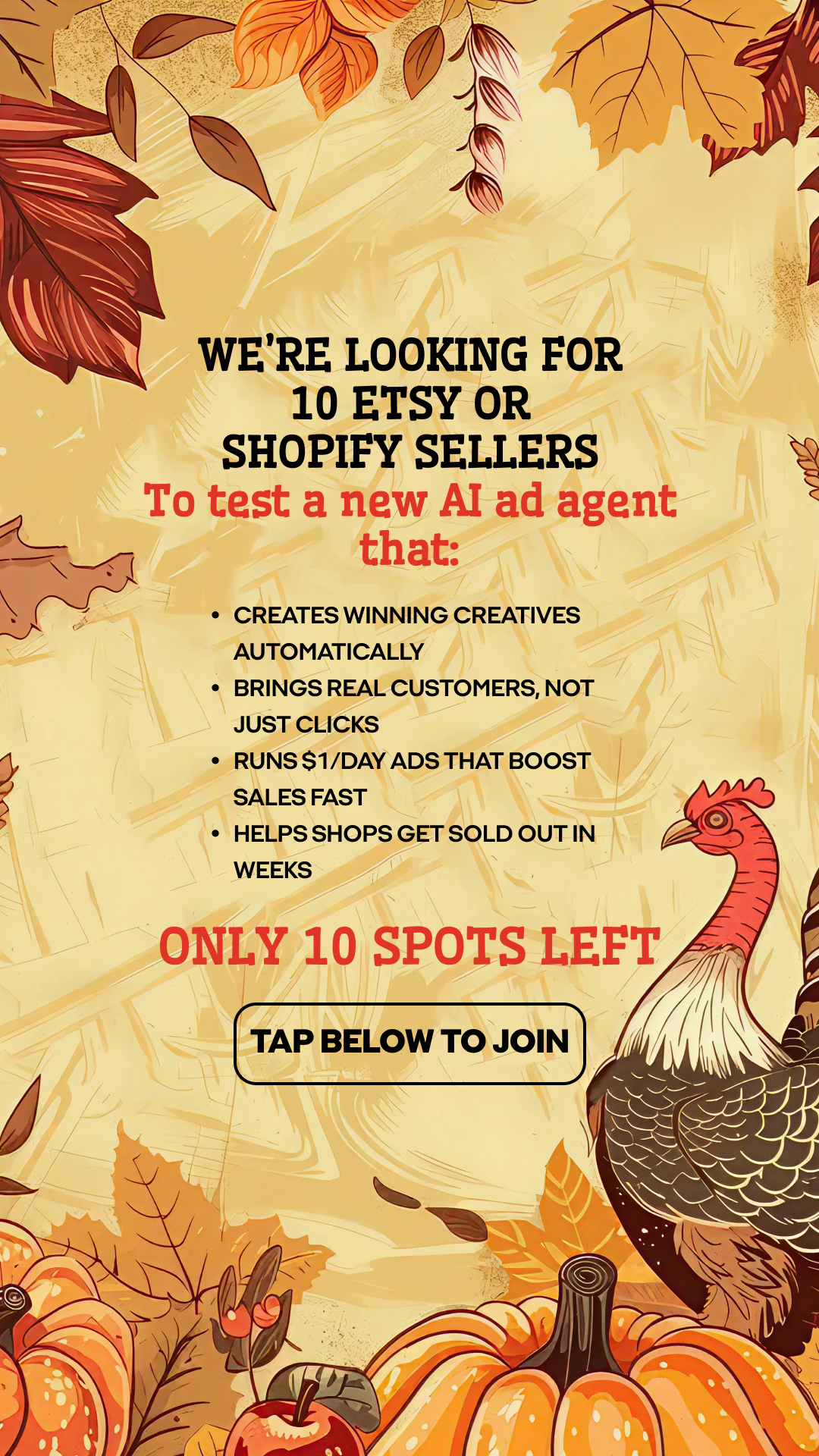 Zeely Facebook ad