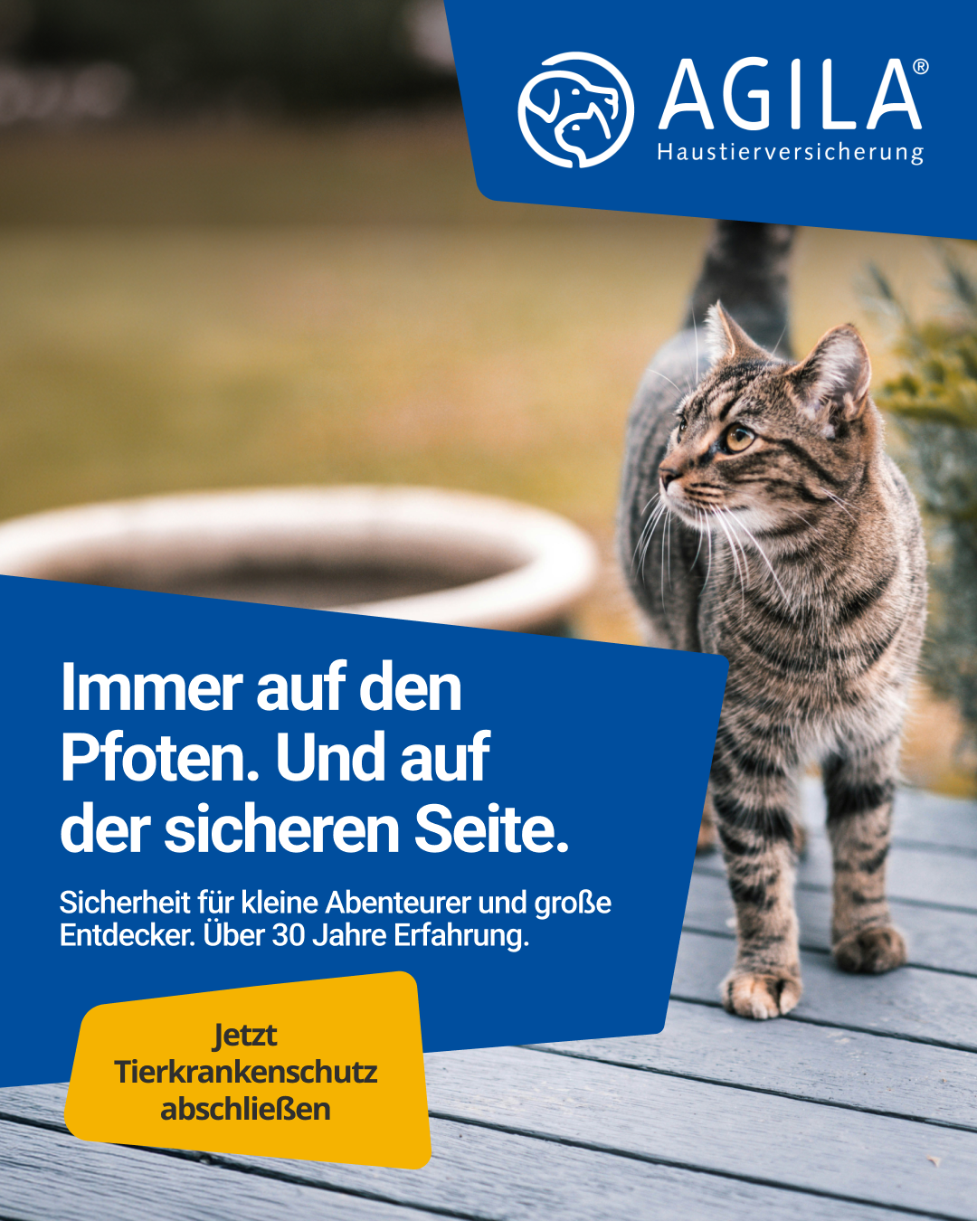 AGILA Haustierversicherung Facebook ad