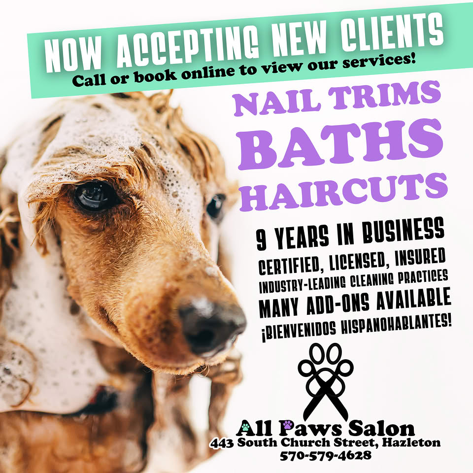 All Paws Salon Facebook ad: We have been proudly providing dog grooming services…