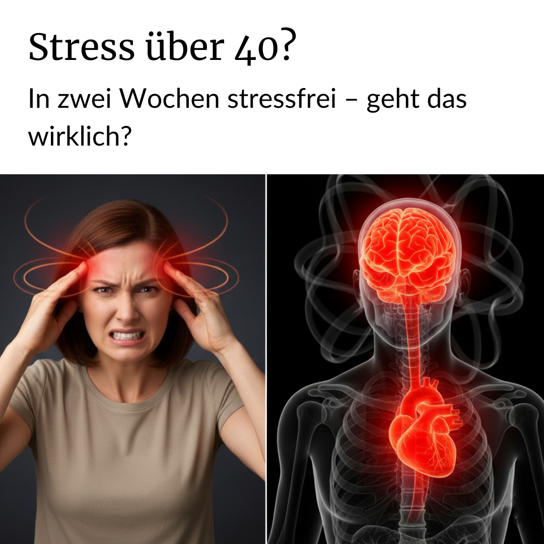 Magazin-Gesundheit Facebook ad