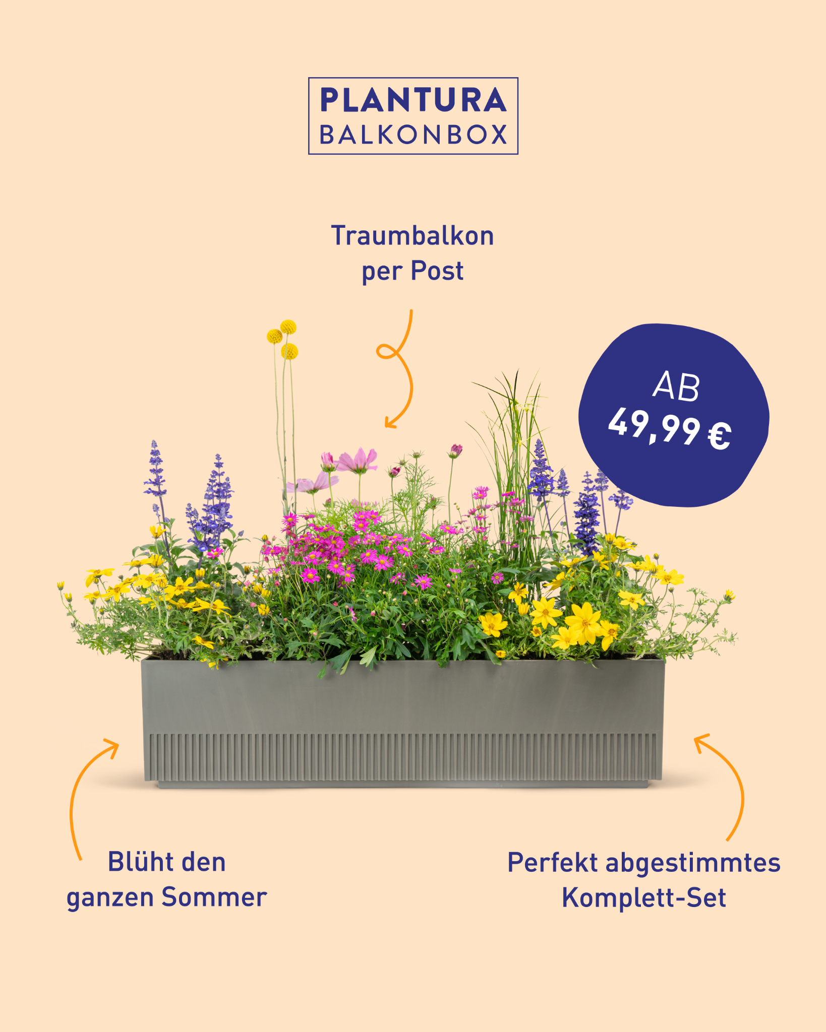 Plantura Facebook ad