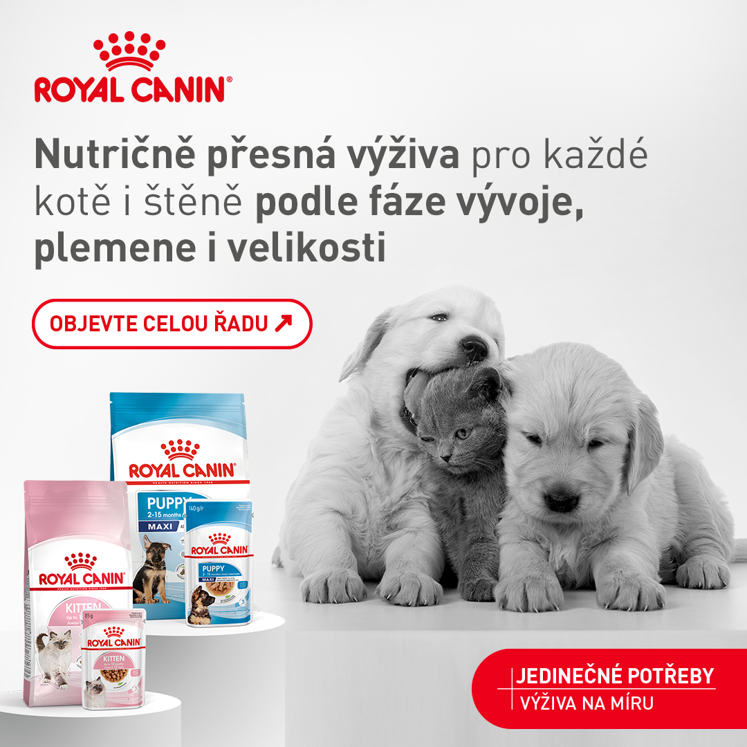 Váš Chovatel.cz Facebook ad: Výživa na míru pro koťata i štěňata