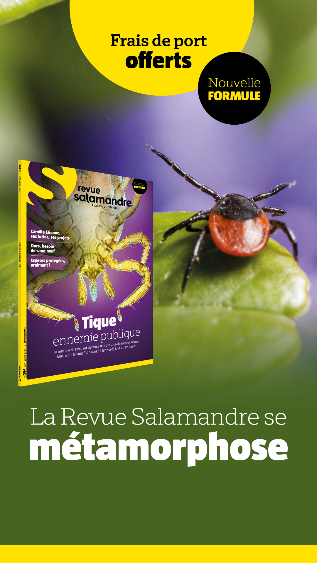 La Salamandre Facebook ad from Jun 8, 2026