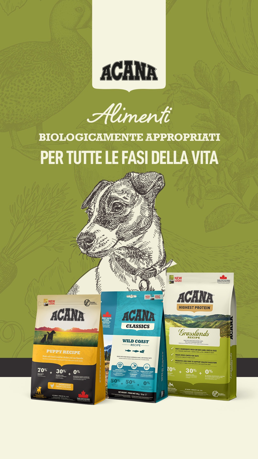 ACANA Italia Petfoods Facebook ad from Feb 14, 2024