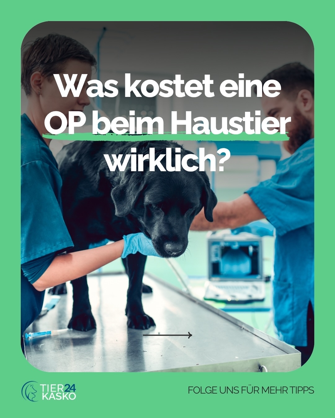 Tierkasko24 Facebook ad: Ein kurzer Moment der Unachtsamkeit, und plötzlich steht…