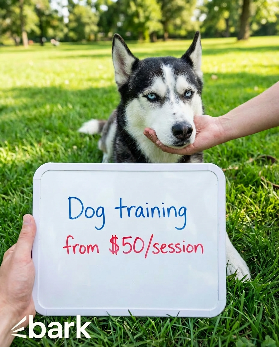 Bark.com Facebook ad