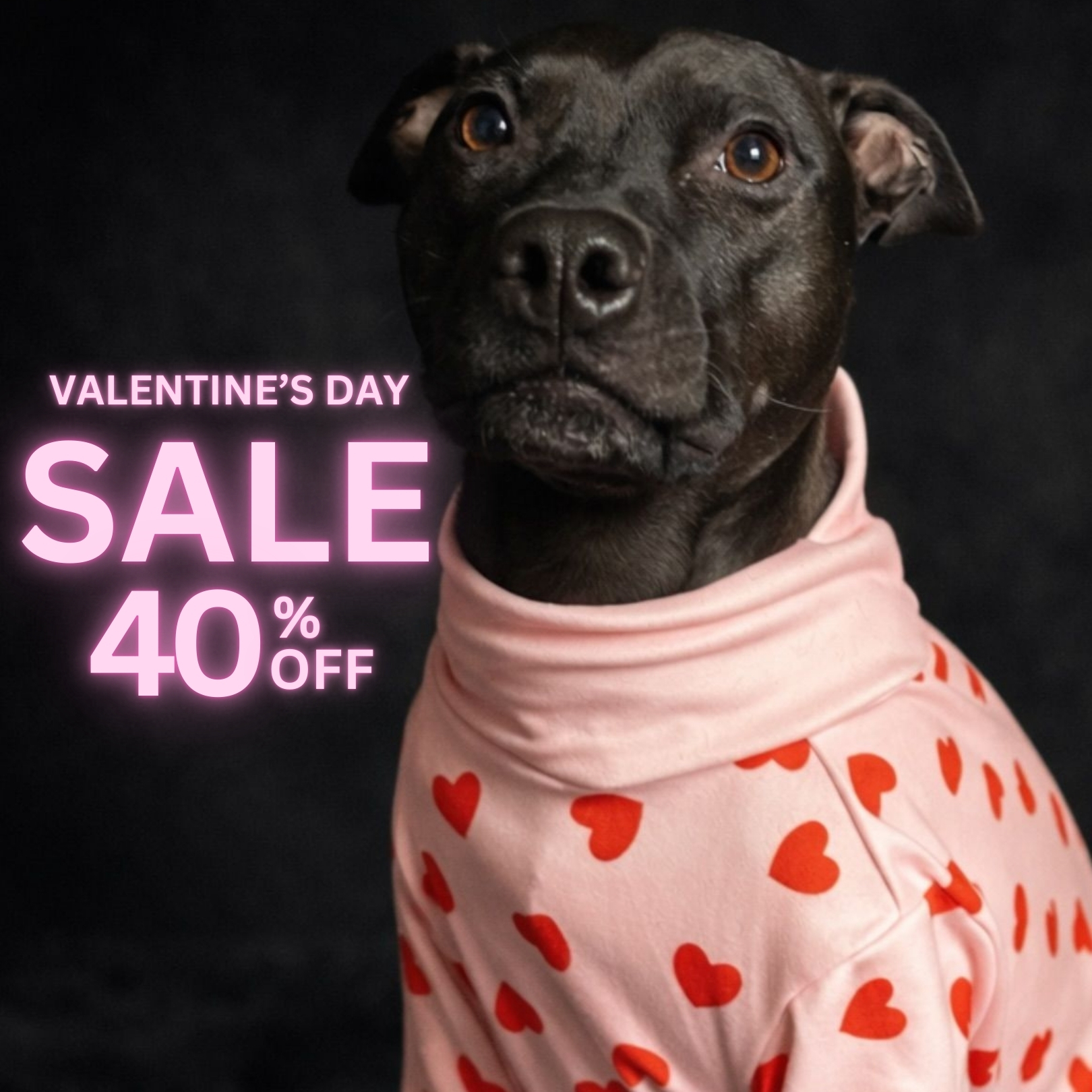 Spark Paws Facebook ad