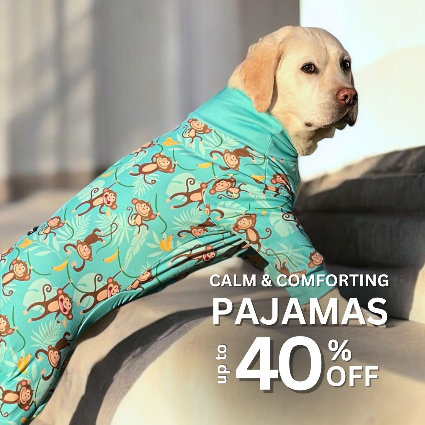Spark Paws Facebook ad
