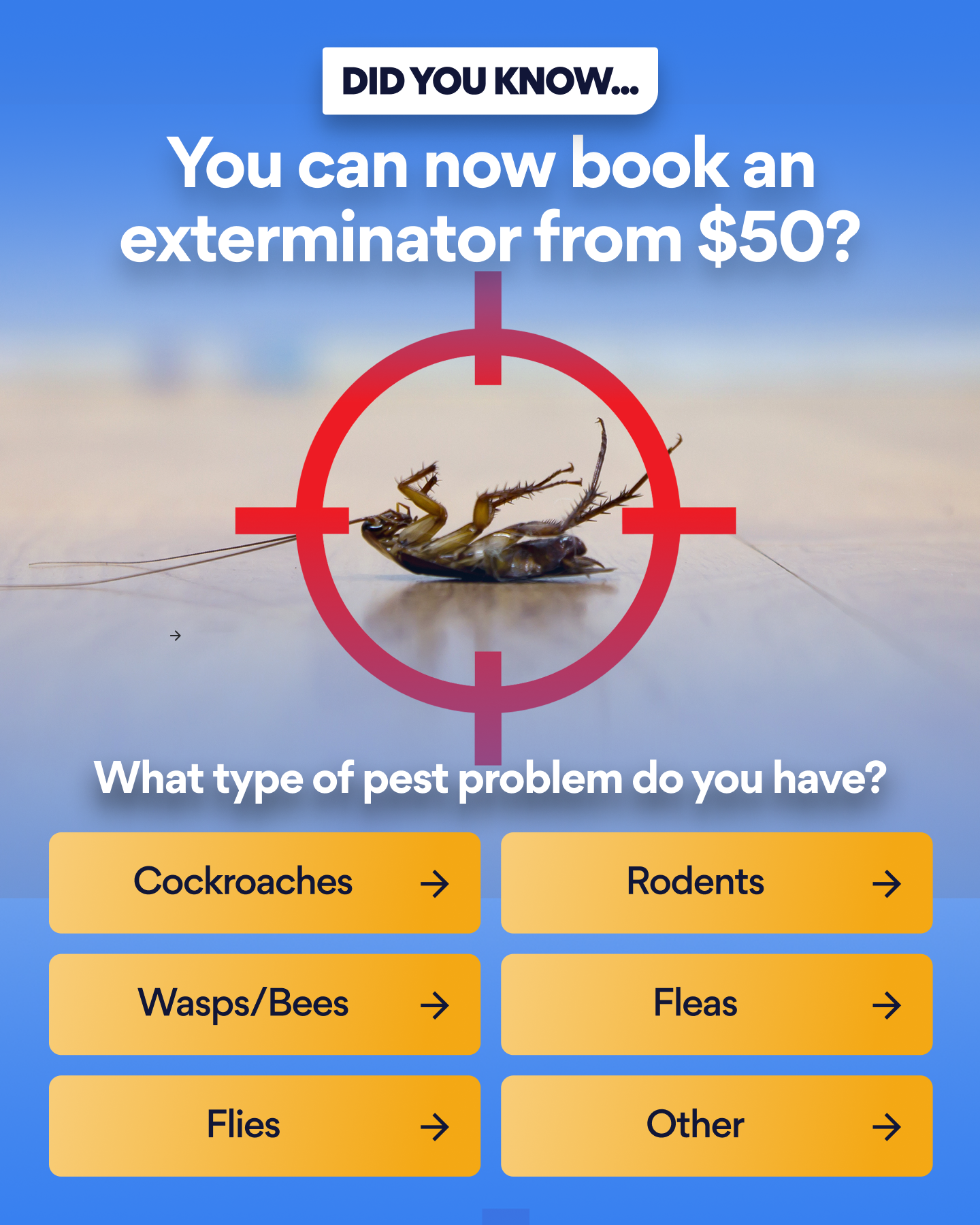 Bark.com Facebook ad