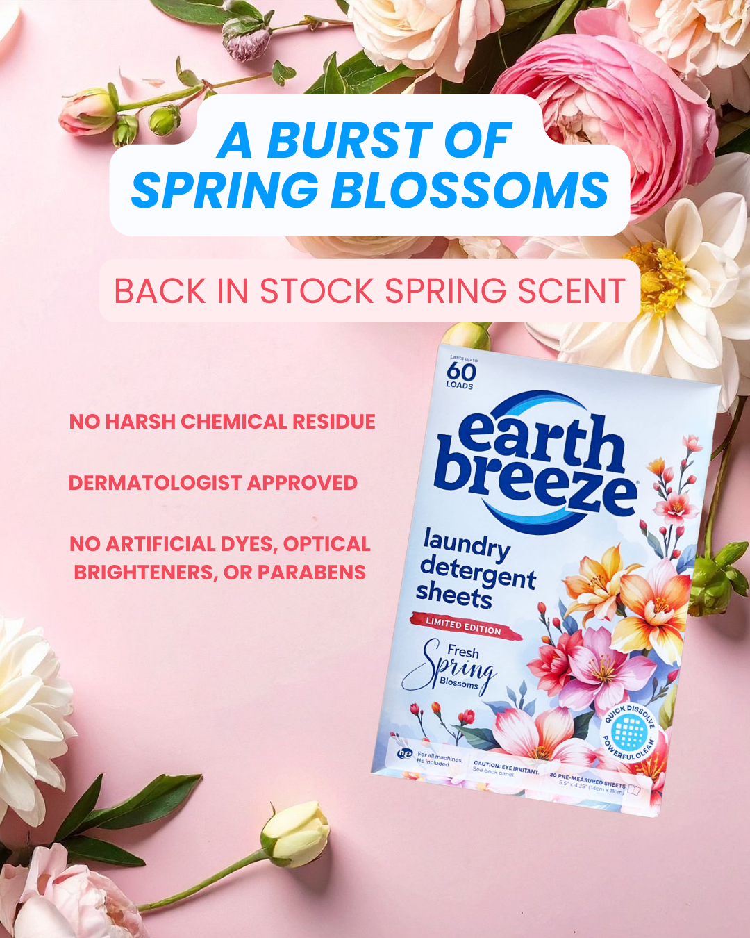 Earth Breeze Facebook ad