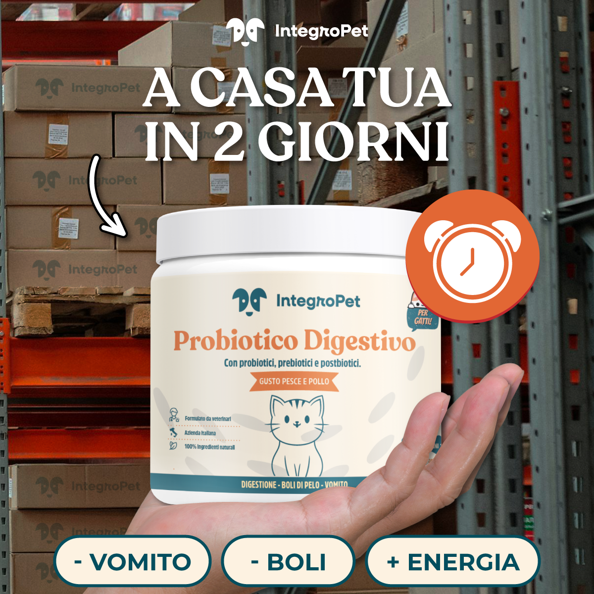 Integropet Italia Facebook ad: Aiuta il tuo gatto oggi